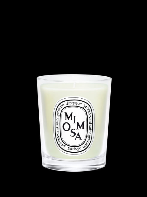 Mimosa Candle